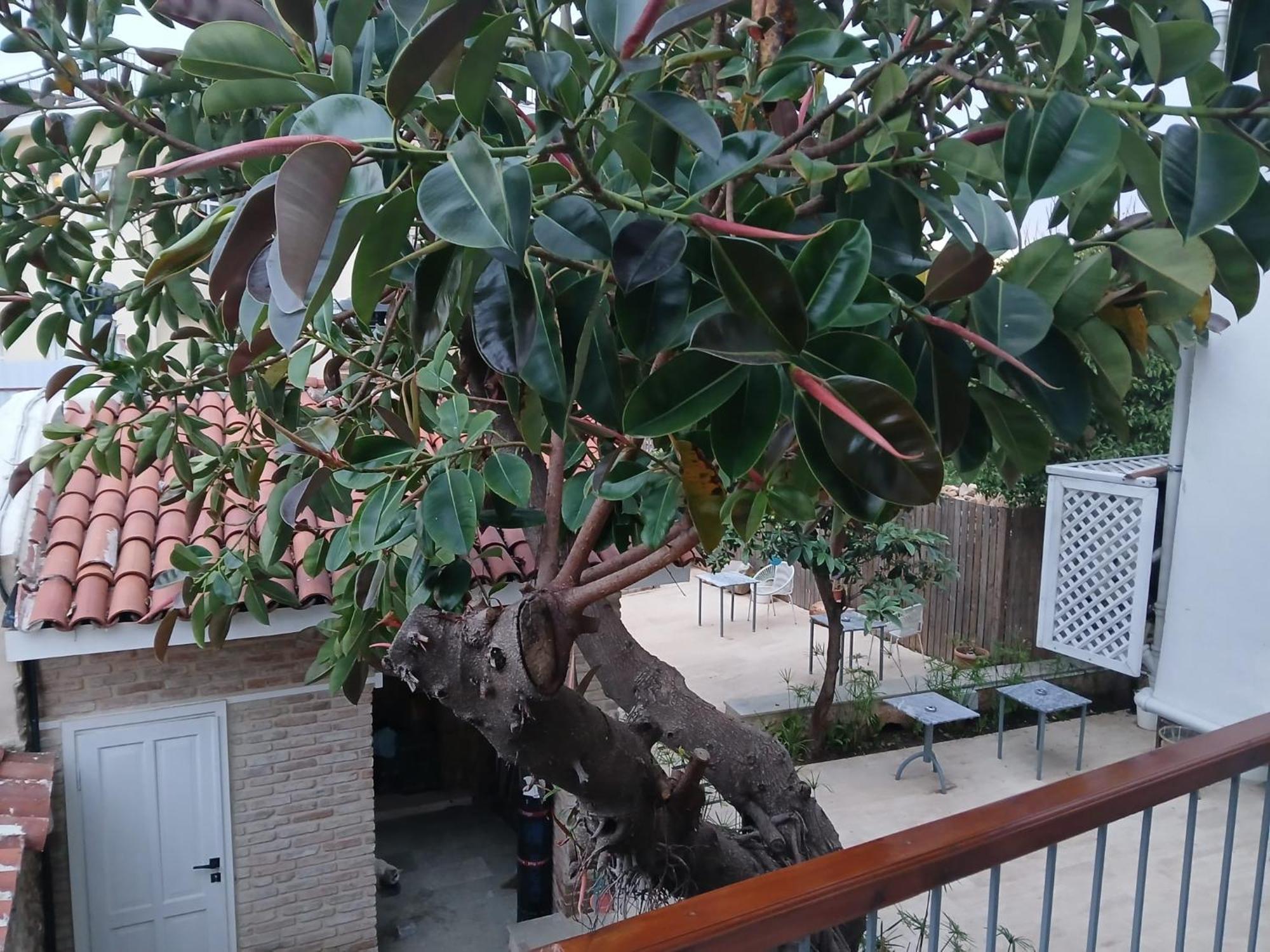 House Of Good Things Hotel Antalya Bagian luar foto